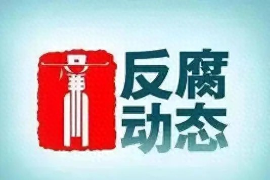 宁习洲、黄峥嵘、唐海宾、杨磊、黄新杰、史晨辉，被查