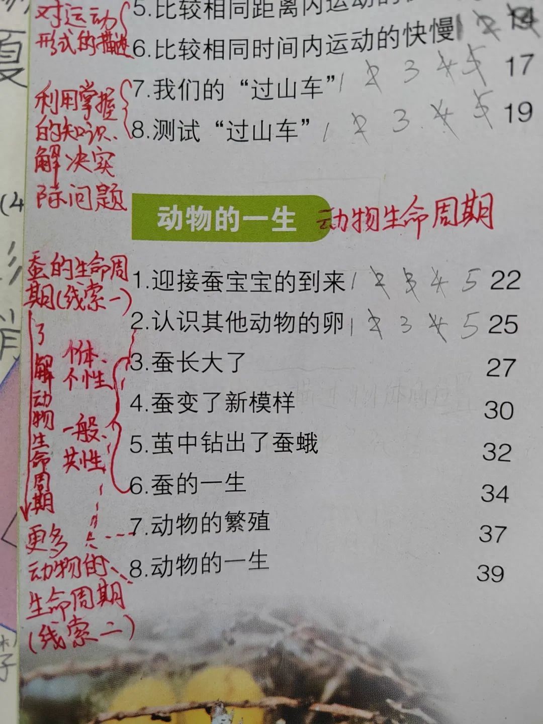 小学生又开始养蚕！昆明家长找桑叶有点难……